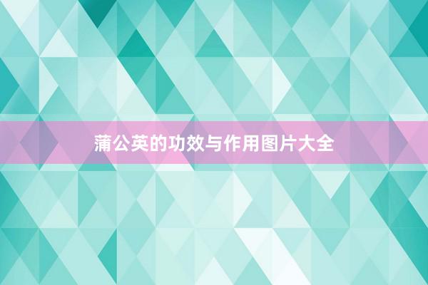 蒲公英的功效与作用图片大全