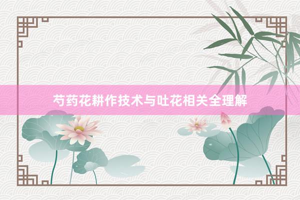 芍药花耕作技术与吐花相关全理解