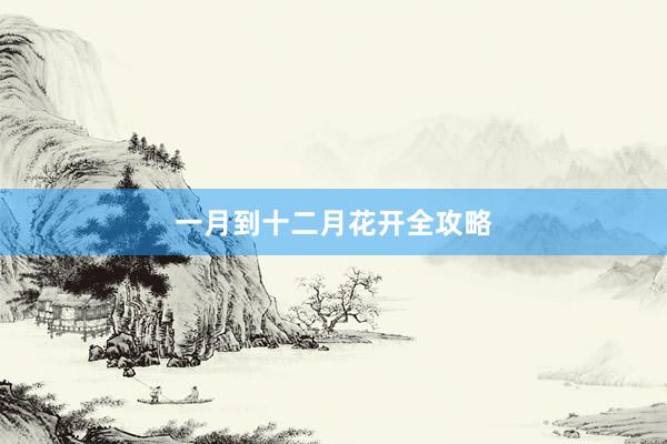 一月到十二月花开全攻略