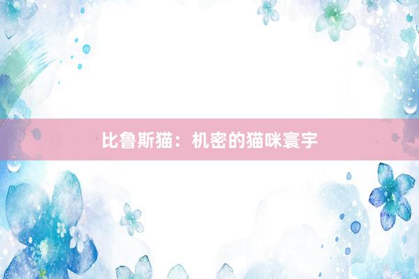 比鲁斯猫：机密的猫咪寰宇