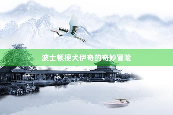 波士顿梗犬伊奇的奇妙冒险