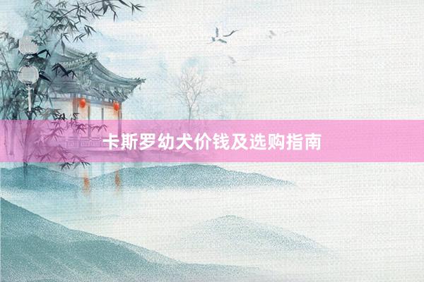 卡斯罗幼犬价钱及选购指南