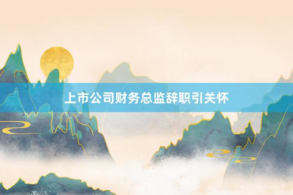 上市公司财务总监辞职引关怀