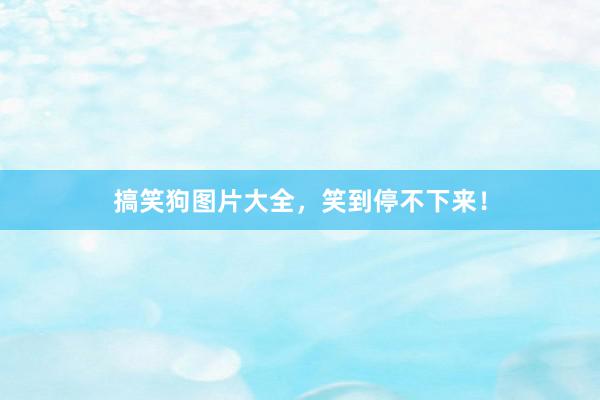 搞笑狗图片大全，笑到停不下来！